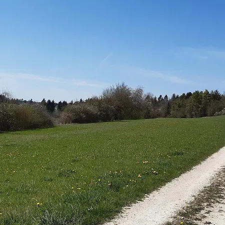 Appartamento Staedtle-Blick Hayingen Esterno foto