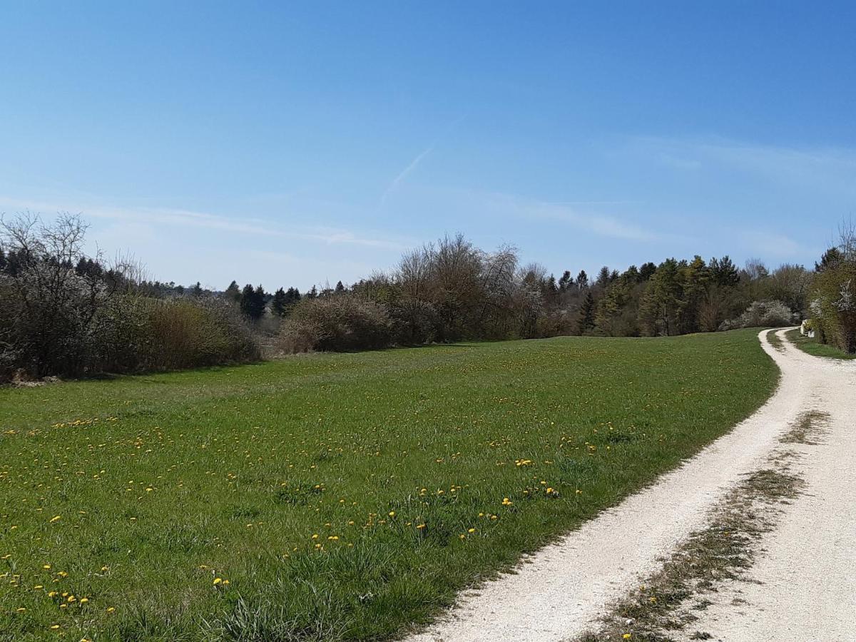 Staedtle-blick Hayingen